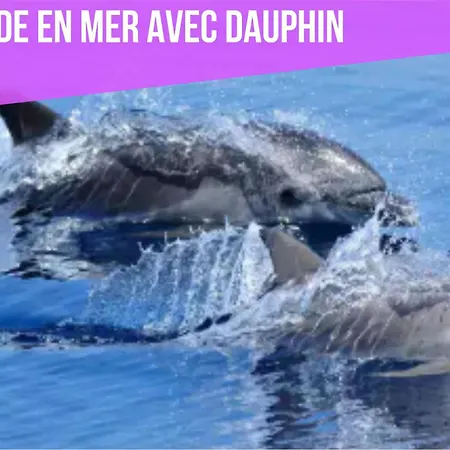 Cozy Cocon * 滨海阿热莱斯