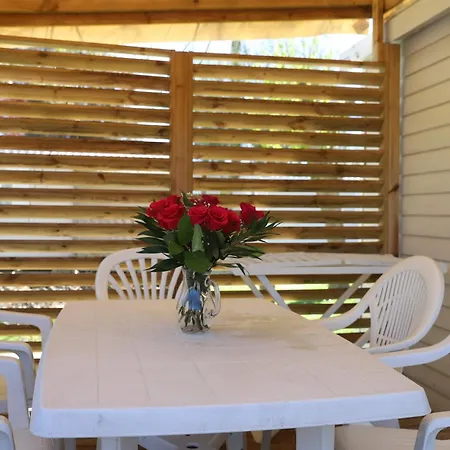 Ferienhaus Cozy Cocon *