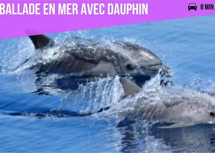 Cozy Cocon * Argelès-sur-Mer